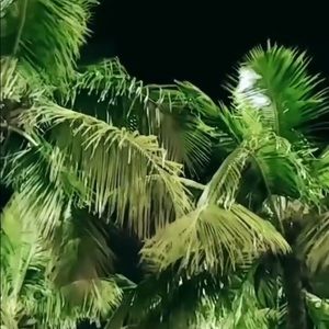 Meet your Posher, Paul